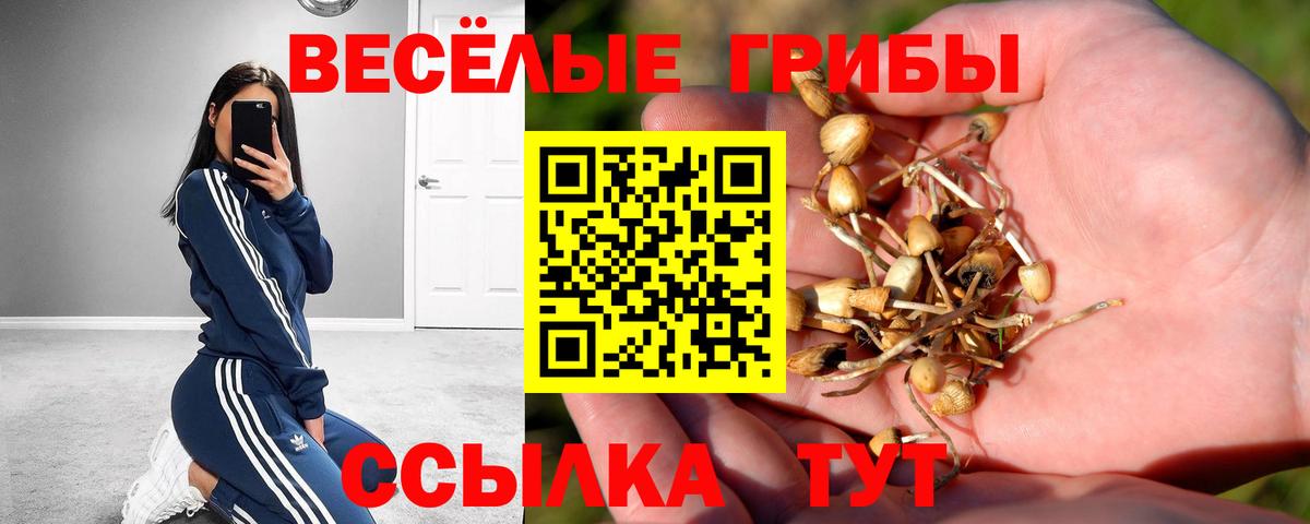 Канск  Псилоцибиновые грибы прущие грибы  Вход с VPN 