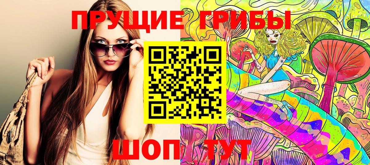 Галлюциногенные грибы Psilocybine cubensis Канск
