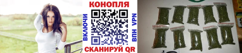 Марихуана семена  Канск 